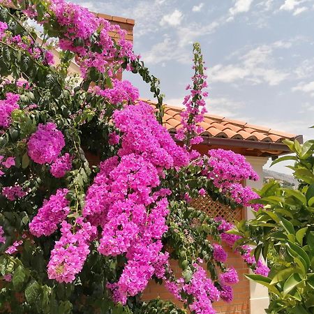 Green Park Apartments 2 دوبروفينك المظهر الخارجي الصورة