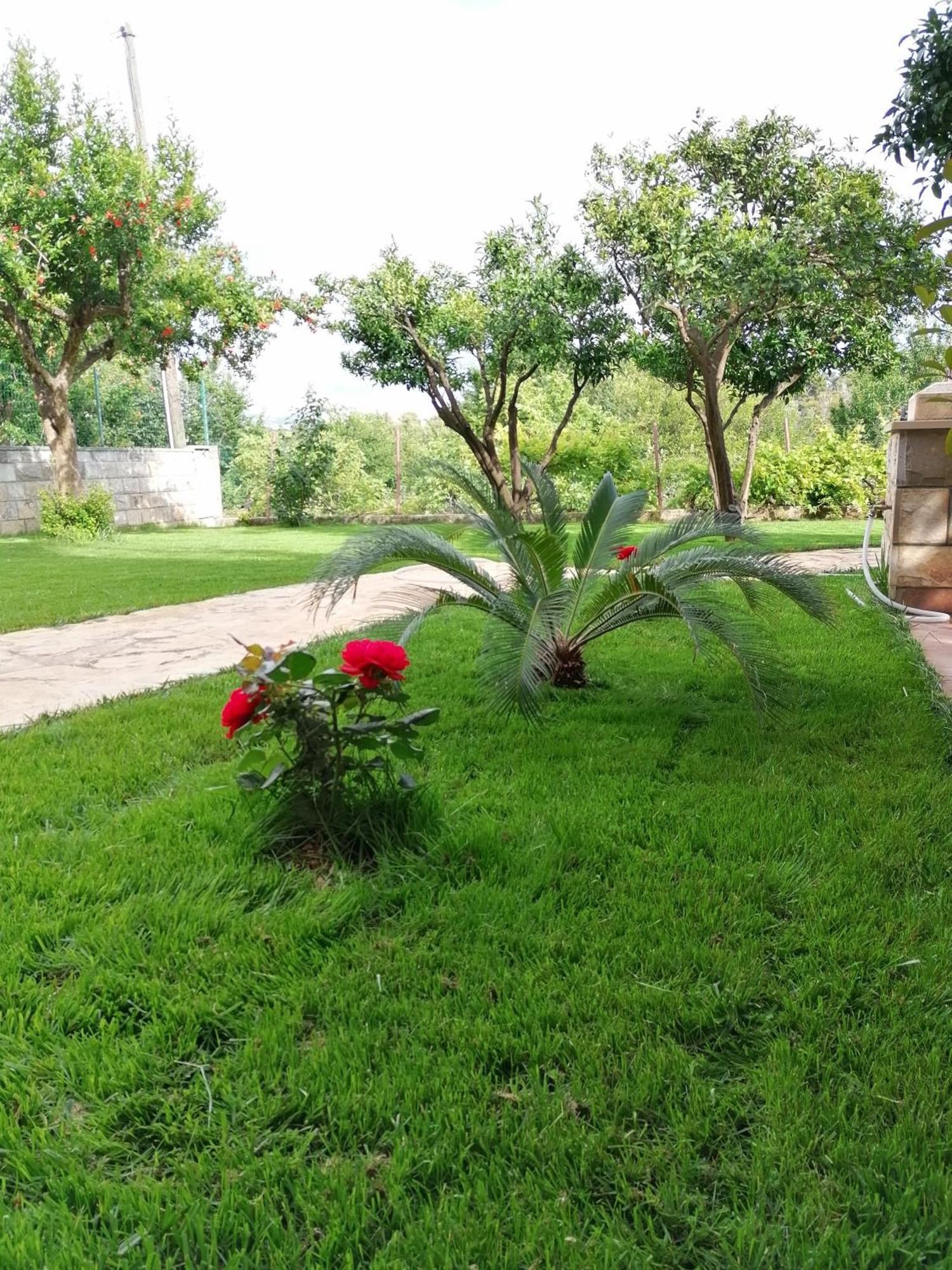 Green Park Apartments 2 دوبروفينك المظهر الخارجي الصورة
